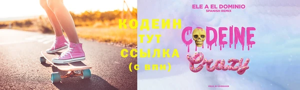 крисы Инта