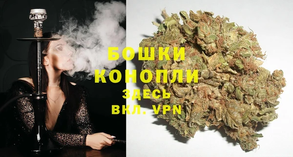 Альфа ПВП Зеленокумск