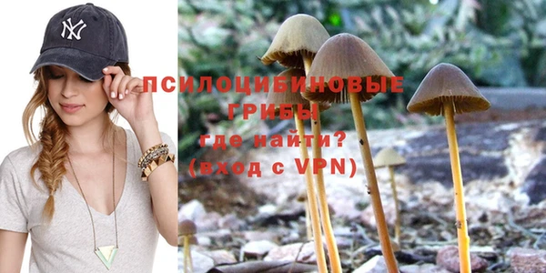 Альфа ПВП Зеленокумск